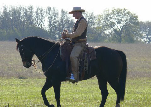 Buck Brannaman - Texas Clinic