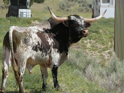 Something's in the air...