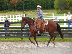 Buck Brannaman riding Arc