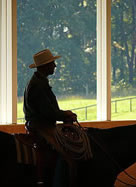 Buck Brannaman, Natural Horsemanship Training