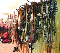 Tack room at Houlihan Ranch