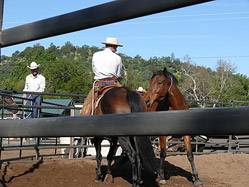 Buck working with Earl