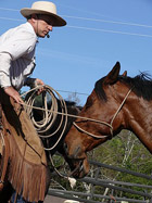 Buck and Earl using his rope as a halter