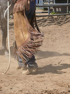 Buck dancing with the colt at Chico