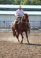 Buck demonstrating on Arc