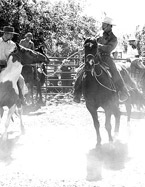 Buck Brannaman, Natural Horsemanship Training