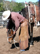 Teaching how to lower a horse's head with softness