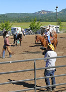 Buck flagging from the ground in Foundations Horsemenship