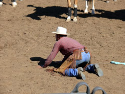 Talking about a horse's balance