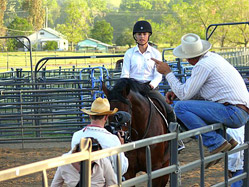 Buck Brannaman, Natural Horsemanship Training