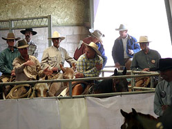 In the bull pen at the small arena