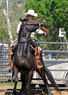 Dan Cornish - colt starting