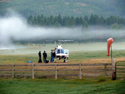 Helicopter in the mist