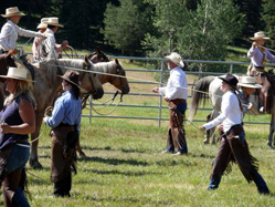 Clinic participants playing "Cow"