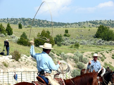Shayne Jackson roping