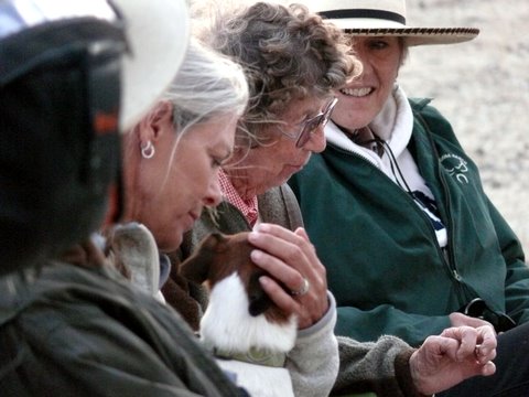 Mary Brannaman, Betsy Shirley, and Sharon Melniker