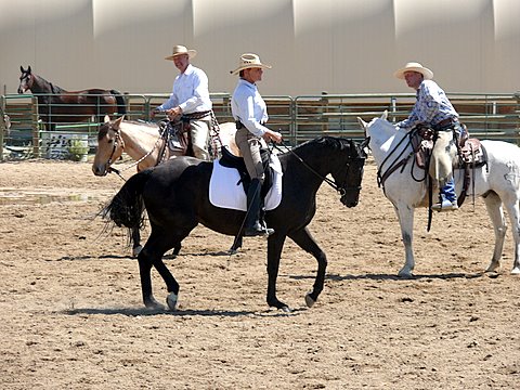 Betty riding English dressage saddle for cow working