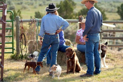 Carol, Bill, Paige and their dogs