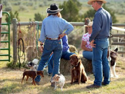 Carol, Bill, Paige and their dogs