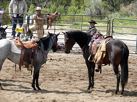 Looking for a safe friend