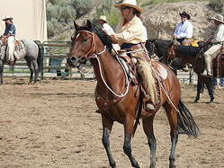 Mary Wood working her horse