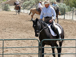 Betty riding English dressage saddle for cow working